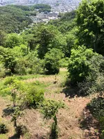 金山城址 展望駐車場の写真・動画_image_513358