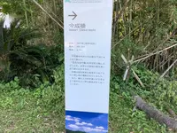 佐田沈下橋の写真・動画_image_513604