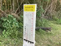 佐田沈下橋の写真・動画_image_513606