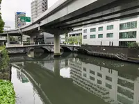 常盤橋の写真・動画_image_513638