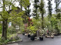 コピスガーデンの写真・動画_image_513775