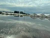 練貫の写真・動画_image_513814