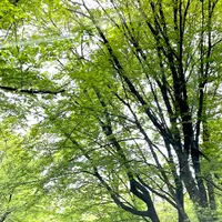 練貫の写真・動画_image_513824