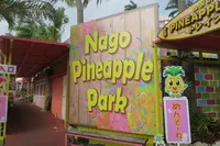 ナゴパイナップルパークの写真・動画_image_513832