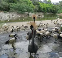 ネオパークオキナワの写真・動画_image_513843