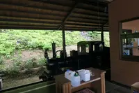 ネオパークオキナワの写真・動画_image_513853