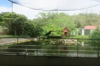 ネオパークオキナワの写真・動画_image_513854