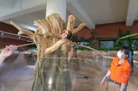 ネオパークオキナワの写真・動画_image_513862