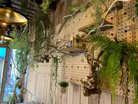 狛犬珈琲の写真・動画_image_514059