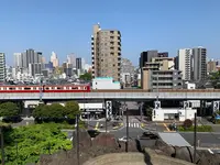 品川神社の写真・動画_image_514124
