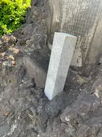 品川神社の写真・動画_image_514126