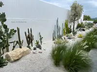 Palm Springs Cafeの写真・動画_image_514202