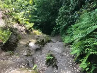 化粧坂切通しの写真・動画_image_514225