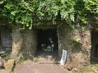 寿福寺の写真・動画_image_514227