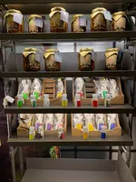 Karmakametの写真・動画_image_514266