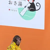 草津温泉おさるの湯もみ処～おさ湯の写真・動画_image_514545