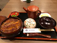 うな富士の写真・動画_image_514685