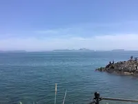 SAKURAGUMI （サクラグミ）の写真・動画_image_514702