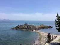 SAKURAGUMI （サクラグミ）の写真・動画_image_514707