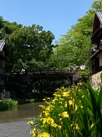 八幡堀の写真・動画_image_514788