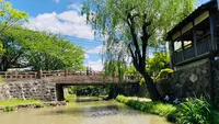 近江八幡水郷めぐりの写真・動画_image_514790