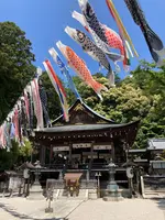 日牟禮八幡宮の写真・動画_image_514806