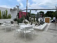 Palm Springs Cafeの写真・動画_image_514890