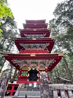 日光東照宮の写真・動画_image_515430