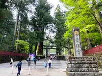 日光東照宮の写真・動画_image_515434