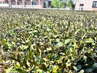 宮野園の写真・動画_image_515533