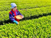 宮野園の写真・動画_image_515534