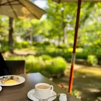 日比谷松本楼 東京女子医大店 グリーンテラスの写真・動画_image_515640