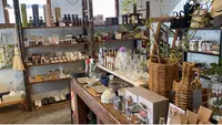 AIDA with CAFE 広島の写真・動画_image_516223