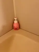 鈴鹿サーキットホテルの写真・動画_image_516254