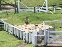 伊香保グリーン牧場の写真・動画_image_517214