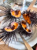 口福の馳走屋 梅乃葉の写真・動画_image_517254