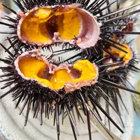 口福の馳走屋 梅乃葉の写真・動画_image_517256