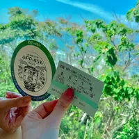 ○○のはなしの写真・動画_image_517263