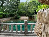 別府弁天池の写真・動画_image_517300