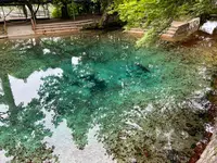 別府弁天池の写真・動画_image_517301