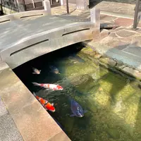 殿町通りの写真・動画_image_517319