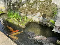 殿町通りの写真・動画_image_517325
