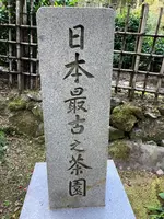 高山寺の写真・動画_image_517439
