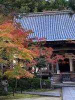 西明寺の写真・動画_image_517463