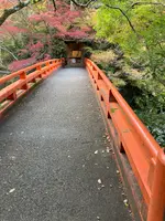 西明寺の写真・動画_image_517466