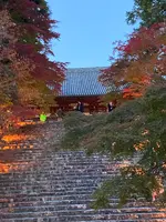 神護寺の写真・動画_image_517484