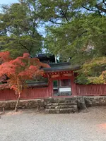神護寺の写真・動画_image_517488
