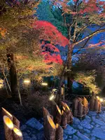 神護寺の写真・動画_image_517490