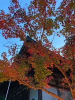 神護寺の写真・動画_image_517491