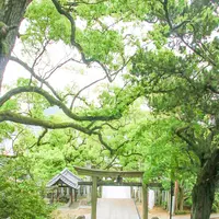 宇夫階神社の写真・動画_image_518739